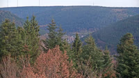 Bad Wildbad - Panoramic view