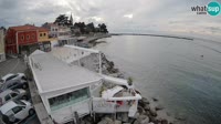 Novigrad - Porporela
