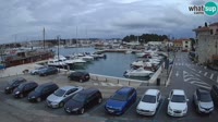 Novigrad - Porporela Marina