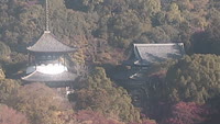 Iwade - Negoro Temple