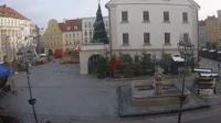 Rynek
