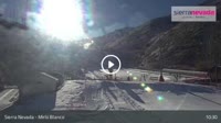 Sierra Nevada - Mirlo Blanco