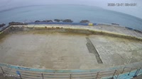 Brixham - Shoalstone Seawater Pool