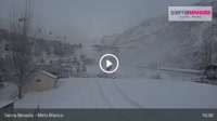 Sierra Nevada - Mirlo Blanco