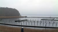 Glücksburg (Ostsee) - Port jachtowy