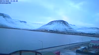 Isafjorduras - Grænigarður