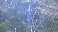 Hinohara - Hossawa Falls