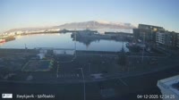 Reykjavík - harbour