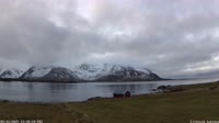 Lofoten - Gimsøya - Lillevik