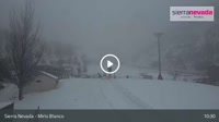 Sierra Nevada - Mirlo Blanco