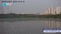 Shenzhen - Réserve naturelle de mangrove de Futian
