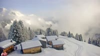 Elbigenalp