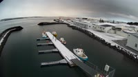 Svalbarðseyri - Port