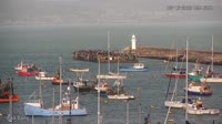 Brixham - Brixham Marina