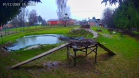 Kozubszczyzna - Bociani Azyl - Pond