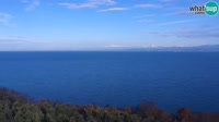 Izola - Panoramic view