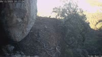 Monti Nebrodi - Golden Eagle nest