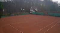 Harlemas - Lawn Tennis Club