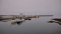 Djúpivogur - Hafen