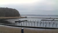 Glücksburg (Ostsee) - Port jachtowy