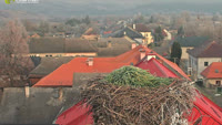 Partizánska Ľupča - Storks
