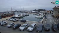 Novigrad - Porporela Marina