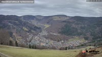 Todtnau im Südschwarzwald - Hasenhorn