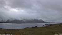 Lofoten - Gimsøya - Lillevik