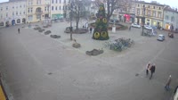Rynek