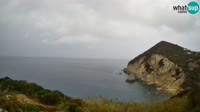 Ponza - Cala Cecata