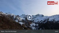 Navis - Tuxer Alpen - Peer Alm Hochleger