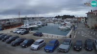 Novigrad - Porporela Marina