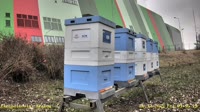 Apiary