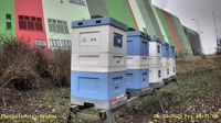 Apiary