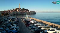 Rovinj - Vue panoramique