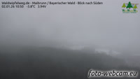 Maibrunn - Waldwipfelweg - Bayerischer Wald