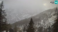 Kranjska Gora - Erjavčeva - Prisojnik