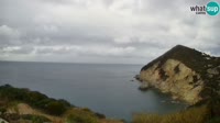 Ponza - Cala Cecata