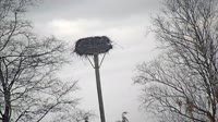 Grabenstätt - Winkl - Storks