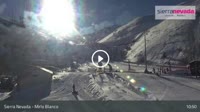 Sierra Nevada - Mirlo Blanco