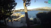 Korcula - Lumbarda - Prvi žal