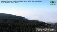 Maibrunn - Waldwipfelweg - Bayerischer Wald
