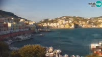 Ponza - Harbour