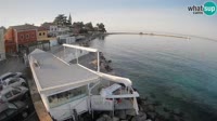 Novigrad - Porporela