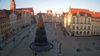 Rynek