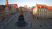 Rynek