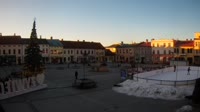Rynek