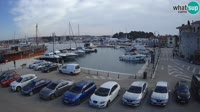 Novigrad - Porporela Marina