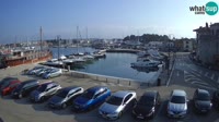 Novigrad - Porporela Marina