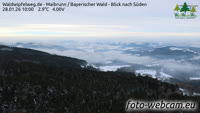 Maibrunn - Waldwipfelweg - Bavarijos miškas